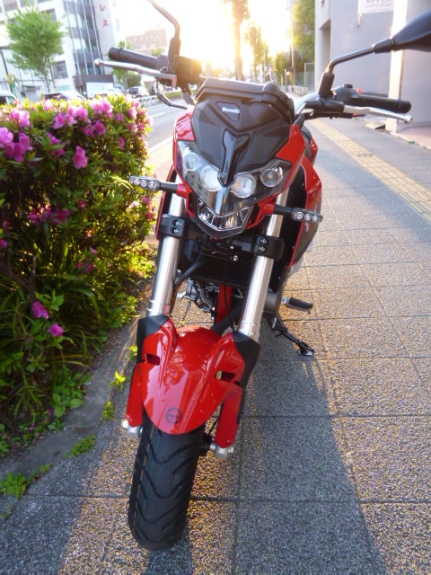 BENELLI ベネリ TNT125 赤 走行距離1900㎞