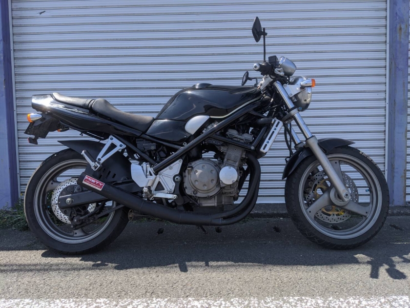 から厳選した バンディット250 - バイク - niter.edu.bd から厳選した バンディット250 - バイク - niter.edu.bd