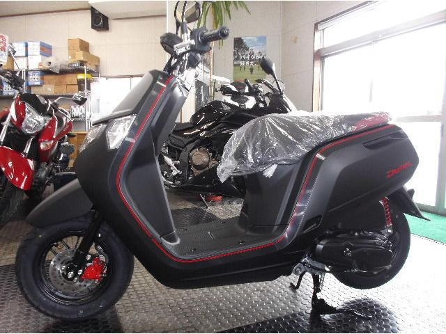 ダンク ホンダ Honda ホンダ ダンク ツートンモデル Zuttoride Market ずっとライドマーケット