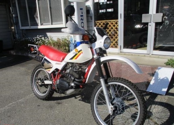 Xl250r パリ ダカール含む ホンダ ホンダ xl250r デコスタスペシャル 限定モデル Zuttoride Market ずっとライドマーケット Xl250r パリ ダカール含む ホンダ ホンダ xl250r デコスタスペシャル 限定モデル Zuttoride Market ずっとライドマーケット